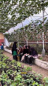 Outing class santri ke kebun anggur GarutGrapeGarden #kebunanggur #grapefarm #urbanfarming | FAjar Hambali
