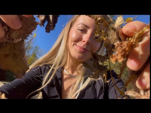 Giving You Cozy Fall Tingles 🍂 ASMR, Leaves, Mug Tapping & Halloween Talk