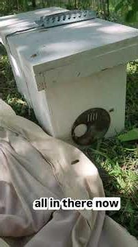 REDEMPTION SWARM CAPTURE - after losing that swarm the other...