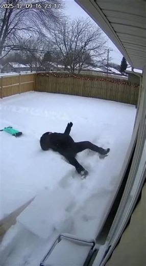 He Crashes Through the Fence… Straight Into a Snowman! ❄️😂 #InstantKarma