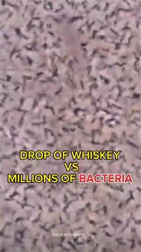 A Drop of Whiskey vs. Millions of Bacteria (Unexpected Result)