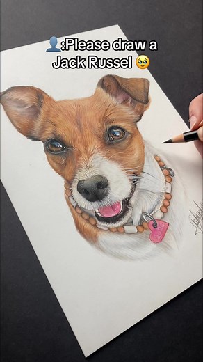 Realistic Jack Russel Dog Drawing Tutorial with Colored Pencils