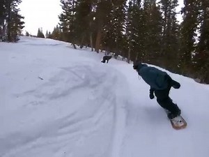 15K views · 415 reactions | A STAR WARS tree run with @gsiebs and @bryanwfox on the way down for the day!  @jerm_worldwide #Offline #Snowboarding | Nitro Snowboards | Facebook