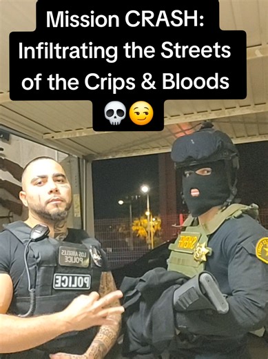 Mission CRASH: Understanding Crips and Bloods Dynamics