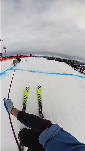 Who Thought of This Sport? 🎬 Jim Ryan #Shorts #Skijoring