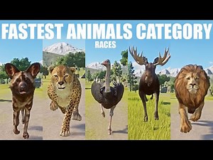 Fastest Animals Category Speed Races in Planet Zoo included Dog, Cheetah, Ostrich, Moose and Lion