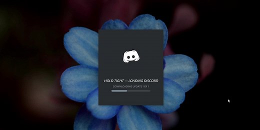 So aktualisieren Sie Discord unter Windows 10