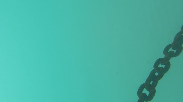 El velero Copernico Doblón cala 3,2m. Ciñe genial pero… tiene ciertas restricciones a la hora de fondear. En la isla de Isabella en Galápagos, intentamos fondear en un lugar a resguardo de las olas pero… comenzamos a sentir como en marea baja, a veces, la quilla tocaba fondo… Tocó mover fondeo y quedar expuestos a las olas. Así que decidimos fondear también con ancla por popa y así evitar quedar atravesados a las olas. Mover un ancla de 70kg entre dos no es sencillo pero tampoco imposible… Os co