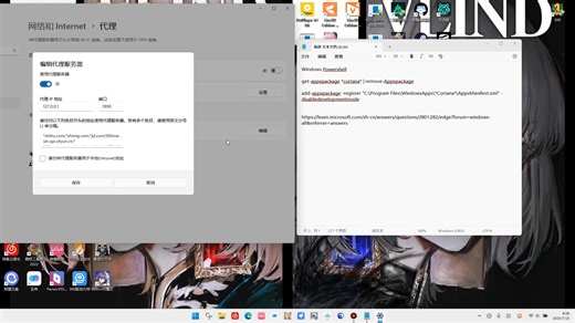 开机自动代理服务器解决办法