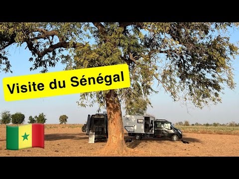 🇸🇳Senegal Casamance, honey and cheesemakers