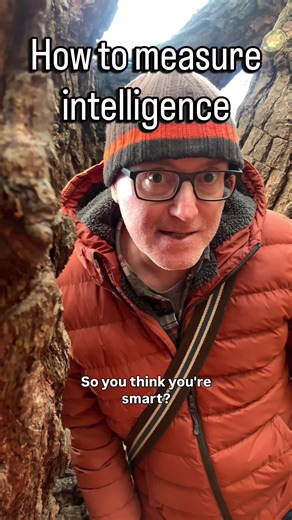 Understanding Intelligence Beyond Humans in Nature