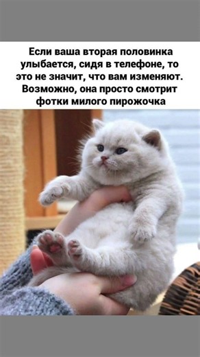 #смех #юмор #шуточное #смехпродлеваетжизнь #мем #прикол #смешновидео