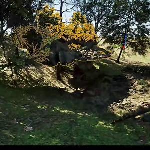 We're back in Unreal Engine for Part 2 of Sciontidesign's Studio Sessions tutorial series. 🌲🙌 Learn how to create 'The Rocky Forest Path' 👉 https://nvda.ws/4agRtAm | NVIDIA Studio