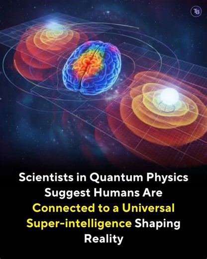 Cosmic Talks | Quantum physics is moving toward a revolutionary understanding of reality that challenges the traditional view of a mechanical, unconscious... | Instagram