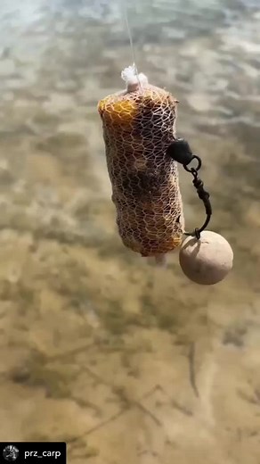 Delicious Carp Bait Recipes for Anglers