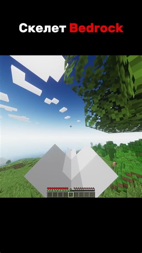 Скелет JAVA vs BEDROCK #minecraft #shorts