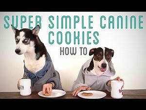 How To Make Super Simple Dog Cookies