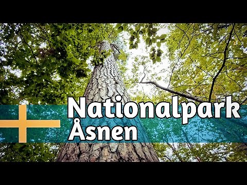 Åsnen National Park - Småland's wild lakes & ancient forests - Hiking & canoeing in Sweden