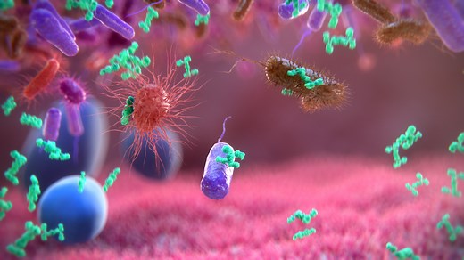 Guidelines – sboulardii – CNCM i-745