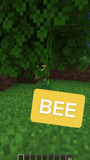 Unbelievable Minecraft Transformation Revealed!