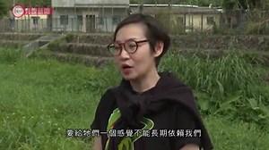 178K views · 1.8K reactions | 【小事大意義 - 港女牧牛記】 【不忍牛隻搵食艱難　義工親自割草派送】...