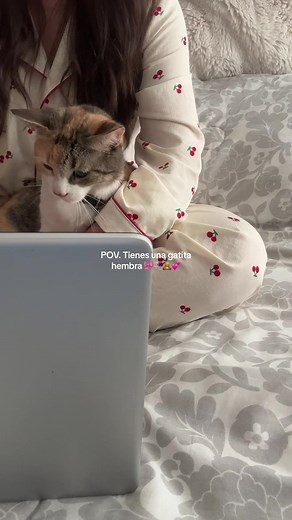 Catgirl Cream Filling Animation Emergency Alert Meme