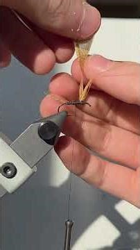 Where's Wally? Wally wings mayfly! #foryou #flytyingaddict