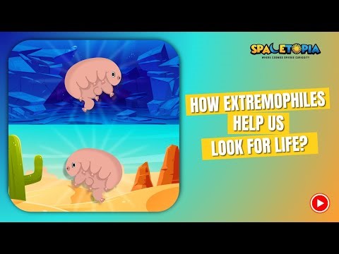 How do Extremophiles help us look for life? | Extremophiles | Spaceknowledge | Spacescience