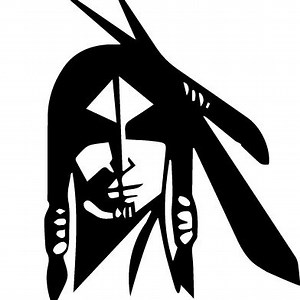 Pocahontas Area High School • Home