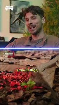 When Gaming Respects Nature 🐜🌿 #empireoftheants #gaming