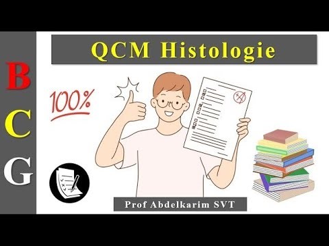 Examen Histologie exercice 1 S1 BCG