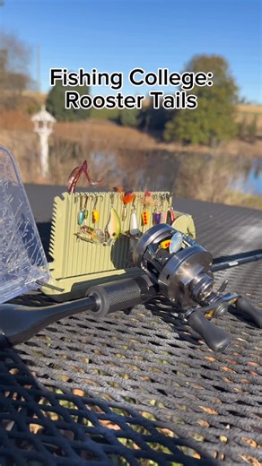 Jackson Ramey on Instagram: "Rooster tails aren’t rocket surgery but let’s talk about them 👀 Go check out @rollercambuckle if you want to pick up an awesome spinnerbox for the holiday season If you guys like the video please drop a follow and check out my other socials! Also links in bio! Giveaway is live on my profile as a pinned video on instagram! Go check it out! Giving away a Daiwa Regal LT Spinning Reel Youtube- Rameyoutdoors (Full length videos) Tiktok- Rameyoutdoors Instagram - Rameyout