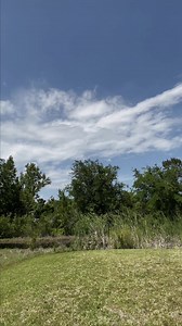 96K views · 3.2K reactions | Breaking the mental health stigma begins with every one of us. That’s why we sell tees to fund therapy for Veterans at risk of suicide. Every purchase you make helps save Veteran lives – 200 to date! Help us do more when you order your “Don't Suffer in Silence” tee. Wear it during May, which is Mental Health Awareness Month! Shop here: https://tilvalhallaproject.com/products/dont-suffer-in-silence | Til Valhalla Project | Facebook