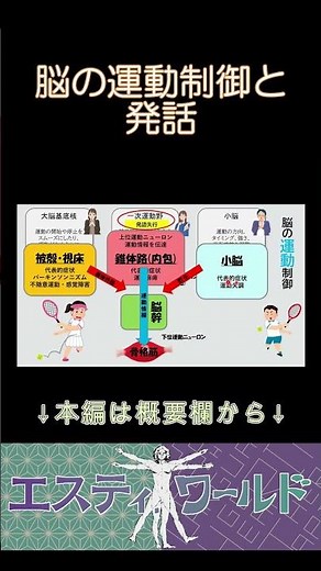 【構音障害】運動制御と発話