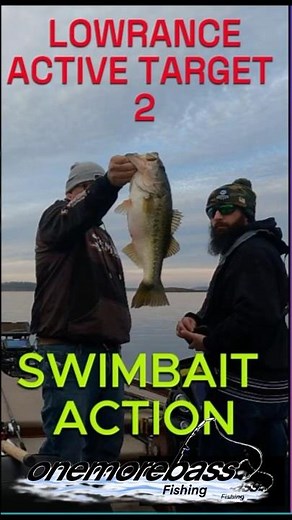 Swimbait + Active Target = Big Bass OUT OF A TREE 🔥 #fishing #lowrance #swimbait