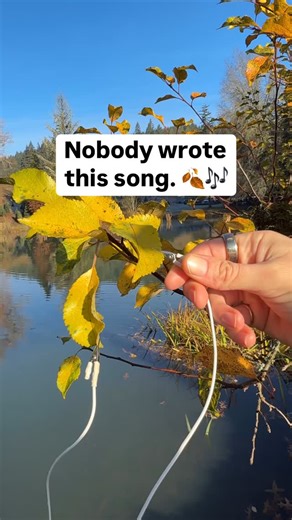 PlantWave on Instagram: "We never know exactly how a plant is going to sound. We can give it instruments to play, but we never know what melodies it will produce until we connect our PlantWave and take the time to listen. Similar to a wind chime, nature becomes the composer, with us humans, its audience. Tune into nature with PlantWave. Learn more at PlantWave.com #plantwave #plantmusic #plantconsciousness #listening #composition #musiccomposer"