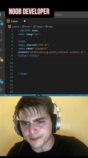 Noob vs Pro | Programming Memes #website #programming #htmlcss #appdevelopment #vscode