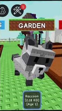 hari ke 2 gacha mutasi raccon sampai dapat mutau mega! #game #roblox #growagarden #tradepet