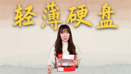 【固态硬盘推荐】2.5英寸SATA3.0接口笔记本SSD固态硬盘 512GB大容量高速存储 游戏办公系统盘持久耐用