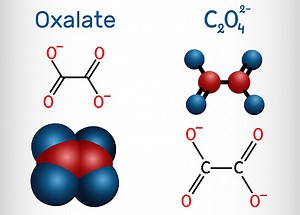 Oxalate anion, ethanedioate molecule. Structural chemical formula and...