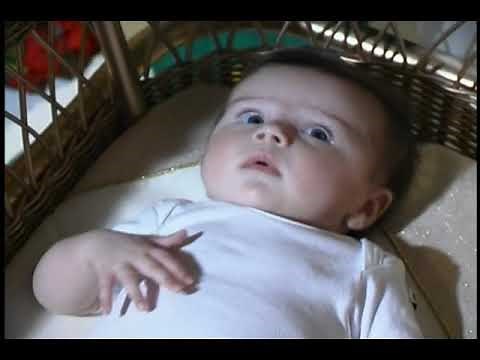 The Wiggles - Go to Sleep Jeff (Brahms Lullaby) (2003)