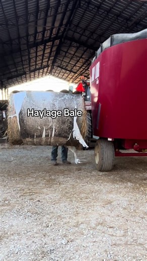 Essential Guide to Haylage Baling for Cattle Owners