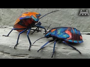 AwA Hibiscus Harlequin Stink Bugs adults and nymphs (Tectocoris diophthalmus)