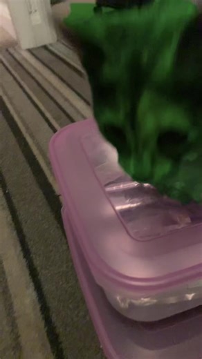 The alien icon #fypppppppppppppp #cat #alien