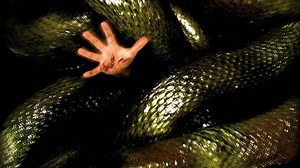 Watch Anacondas: The Hunt for the Blood Orchid 2004 full HD on Fmovies