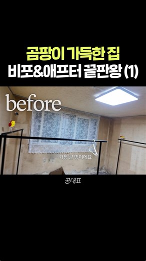 Awesome remodel! Semi-basement interior 🏚️🔜🏠