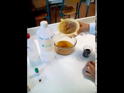 Identification de grains de pollen