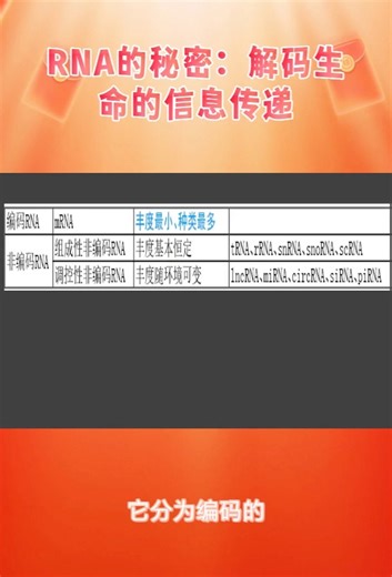 RNA的秘密：解码生命的信息传递