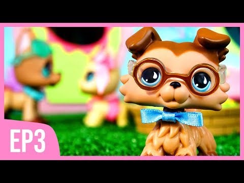 LPS: Outsiders Musical - Episode 3 "She Will Never Know" (Littlest Pet Shop Series)