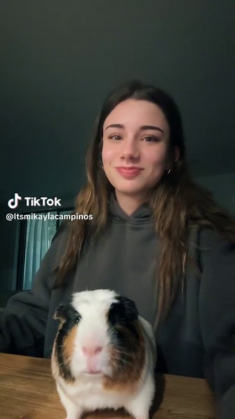 Lip-sync Performance by BEAN | Full of Fun and Squeaky Goodness